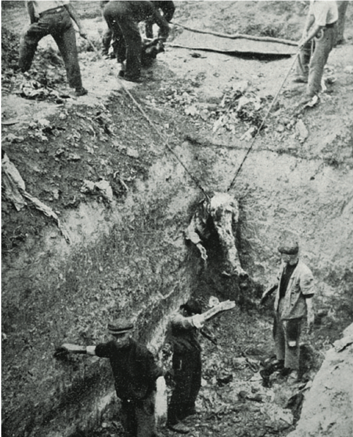 Robotnicy wyciągają zwłoki z dołu o głębokości trzech metrów podczas nie- mieckiej ekshumacji w Winnicy, 1943 r. (fot. Amtliches Material zum Massenmord von Winniza, Berlin 1944)