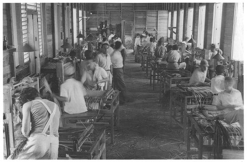 Uchodźcy żydowscy w Sosúa na Dominikanie pracujący w fabryce słomy produkującej torebki na eksport do Stanów Zjednoczonych, 1943/1944 r. (fot. domena publiczna)