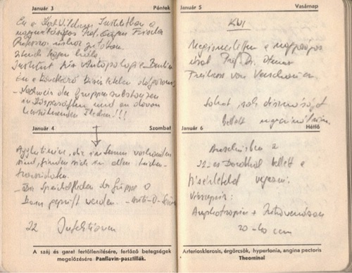 Spreparowane zapiski Grósz Chorina z Auschwitz. Fot. Bogdan Musiał