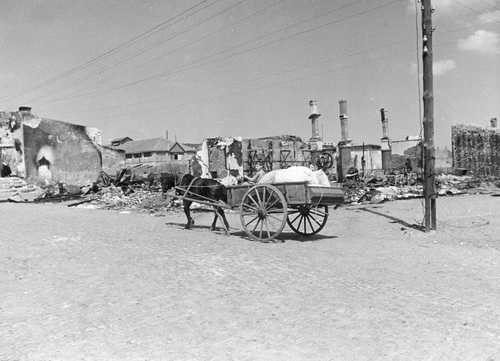 Powrót ludności do zniszczonego Mikołajowa. Widoczny zaprzęg konny powożony przez chłopca, sierpień 1941 r. Fot. NAC