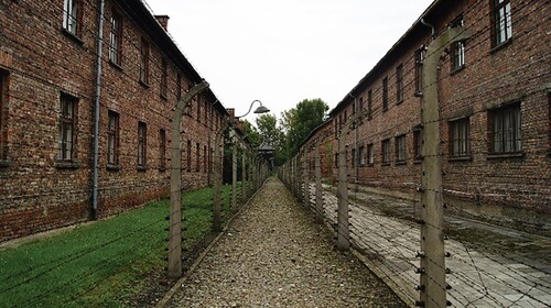 Ogrodzenie z drutu kolczastego w KL Auschwitz. Fot. Bartosz Januszewski