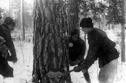 Syberia, 1940. Fot. ze zbiorów Komisji Historycznej Związku Sybiraków Oddział w Krakowie