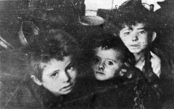 Ludobójstwo niemieckie na polskich Żydach