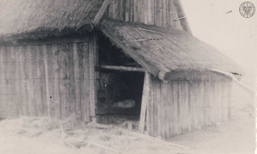 Szopa przy stodole w gospodarstwie Marii i Stefana Burkackich w m. Szyszki, pow. pułtuski. (Ze zbiorów AIPN)