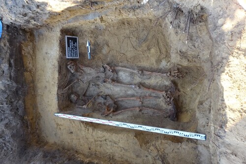 Stanowisko ekshumacyjne z ludzkimi szczątkami.