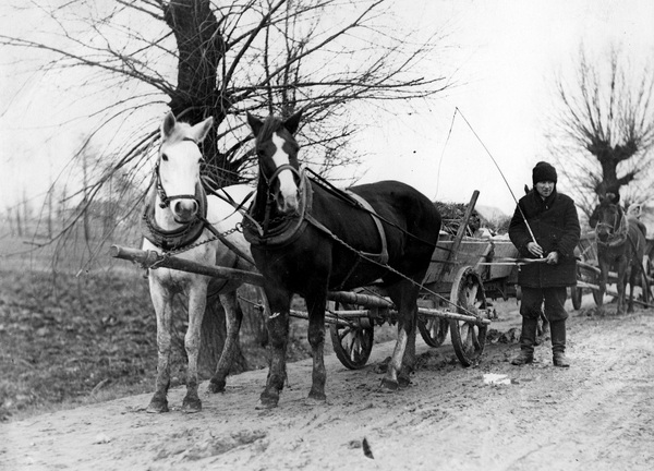 Wystąpienia chłopskie w północnych gminach powiatu suwalskiego w 1935 r.