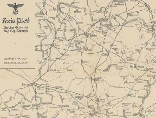 Trudny przypadek Alfreda Ranochy