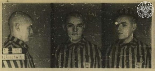 Zdjęcie sygnalityczne młodego mężczyzny w trzech ujęciach: z prawego profilu, en face i z lewego profilu. Mężczyzna ubrany jest w pasiak, który Niemcy kazali zakładać więźniom swoich obozów koncentracyjnych. Mężczyzna ma bardzo krótko, prawie do skóry, ostrzyżone włosy; na zdjęciu z lewego profilu na głowie ma obozową czapkę. W lewym dolnym rogu zdjęcia widnieją: numer „6804” i słowa „KL Auschwitz”.