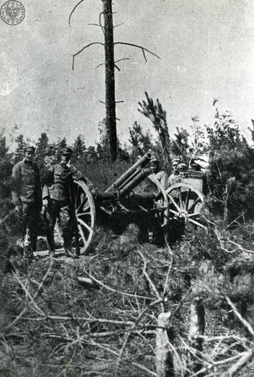 Działo na stanowisku umiejscowionym w obszarze leśnym, z jedynie jednak tylko kikutami drzew. Najprawdopodobniej to teren zniszczony w wyniku walk zbrojnych.