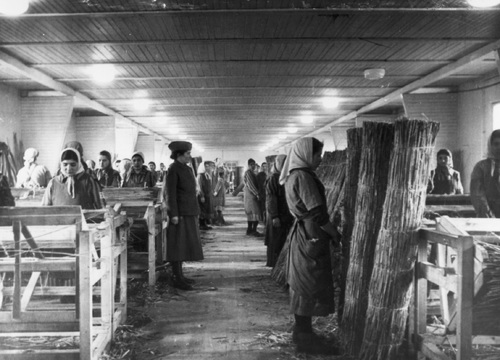 Praca więźniarek przy tworzeniu mat z trzciny wykonywana pod kontrolą nadzorczyni, ok. 1941 r. (Miejsce Przestrogi i Pamięci Ravensbrück)