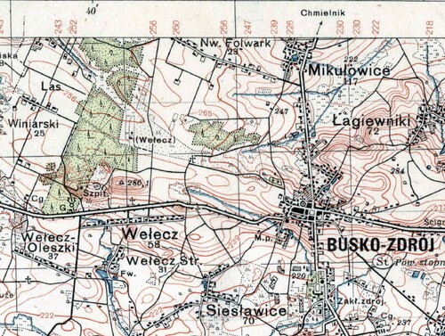 Fragment mapy Lasu Wełeckiego (PAS 47 SŁUP 31), skala 1-100 000, Warszawa 1938