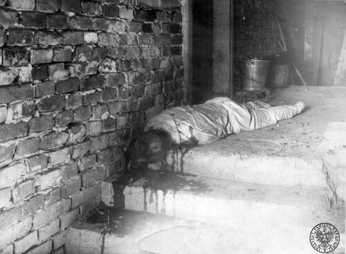 Zwłoki Józefa Hachlicy, prezesa Koła PSL w Krakowie-Prokocimiu, zamordowanego 22 października 1946 r. przed drzwiami własnego domu. Zakrwawione ciało mężczyzny w chłopskim ubraniu leży na schodach budynku. Schody ociekają krwią. W głębi narzędzia rolnicze.