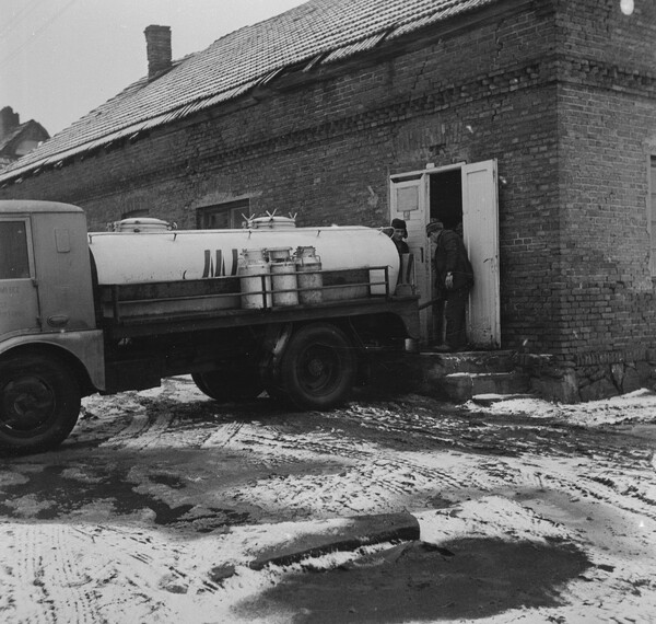 „Mleczna” solidarność