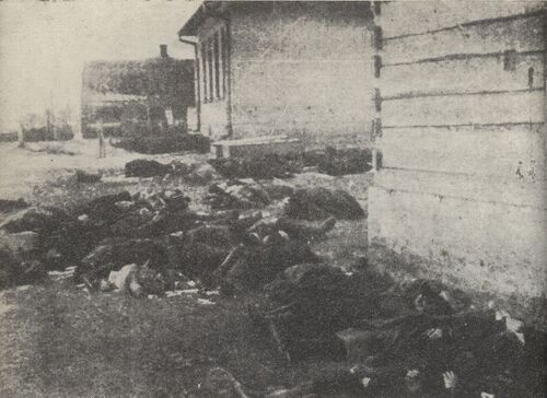 Ofiary niemieckiej pacyfikacji wsi Sochy w czerwcu 1943 r.