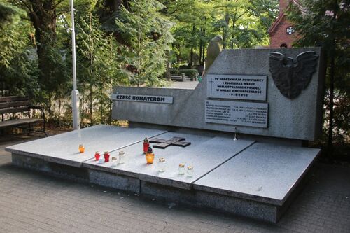 Pomnik Powstańców Wielkopolskich na Cmentarzu Górczyńskim w Poznaniu z 1968 r. Na pomniku ze sztucznego kamienia umieszczono stylizowanego orła metalowy odlew krzyża powstańczego oraz napisy: CZEŚĆ BOHATEROM, obok: W WALCE POWSTAŃCZEJ O ZRZUCENIE JARZMA PRUSKIEGO PIERWSI ODDALI ŻYCIE NA ULICACH POZNANIA, poniżej nazwiska (aktualnie jest to napis: TU SPOCZYWAJA POWSTAŃCY I ŻOŁNIERZE WOJSK WIELKOPOLSKICH POLEGLI W WALCE O NIEPODLEGŁOŚĆ 198-1920, i zaktualizowana lista nazwisk)