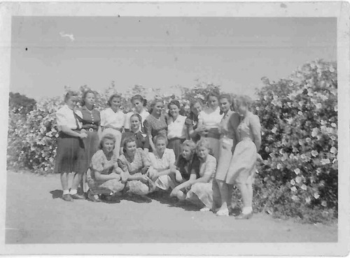 Grupa dziewcząt na tle krzewów z kwiatami. Digglefold (Płd. Rodezja) z lat 1944-1948, ze zbiorów AIPN