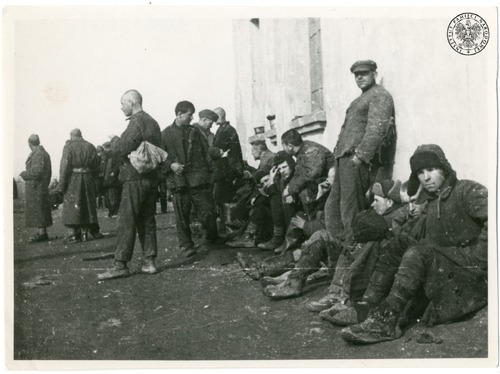 Polacy po przybyciu do Armii Andersa, 1941/1942 r. Zdjęcie z zasobu AIPN pochodzi z kolekcji kopii cyfrowych fotografii przekazanych przez Instytut Józefa Piłsudskiego w Ameryce z siedzibą w Nowym Jorku
