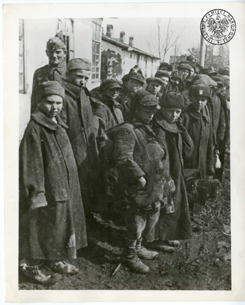 Najmłodsi Polacy po dotarciu do Armii Andersa, 1941/1942 r. Zdjęcie z zasobu AIPN pochodzi z kolekcji kopii cyfrowych fotografii przekazanych przez Instytut Józefa Piłsudskiego w Ameryce z siedzibą w Nowym Jorku