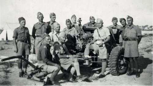 Artylerzyści Samodzielnej Brygady Strzelców Karpackich w Egipcie