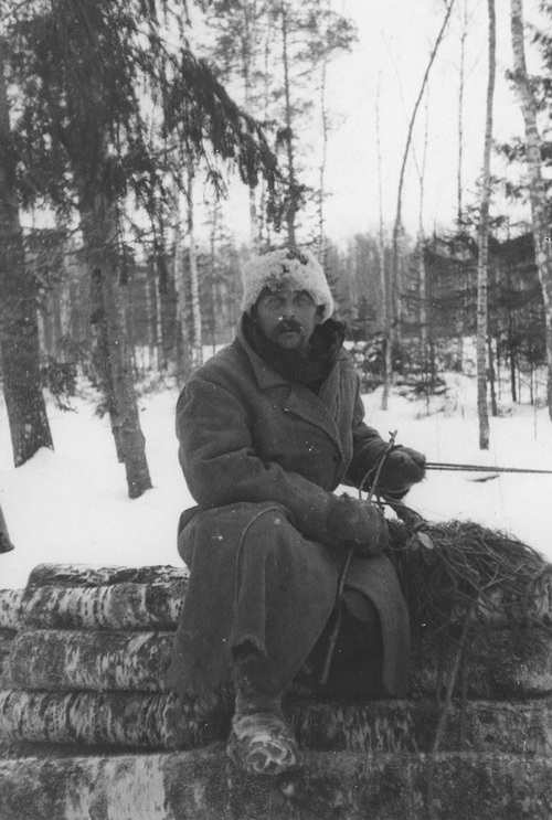 Mężczyzna na wozie z drzewem w lesie w okolicach Lipowej koło Sokółki (okres międzywojenny). Fot. ze zbiorów NAC