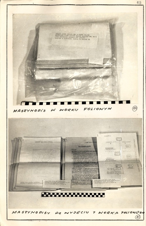Materiał poglądowy w śledztwie – zawartość pudełka po proszku do prania – zarekwirowany podczas przeszukania mieszkania Teresy Remiszewskiej-Damsz