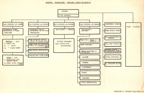 Schemat struktury CIA opracowany przez pion analityczny wywiadu MSW w latach sześćdziesiątych lub siedemdziesiątych dwudziestego wieku