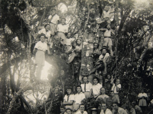 W dżungli, okolice Tengeru, lata czterdzieste dwudziestego wieku