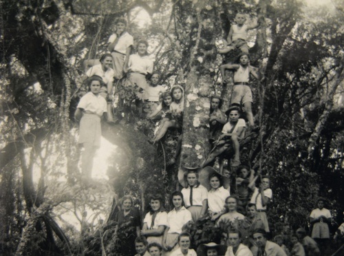 W dżungli, okolice Tengeru, lata czterdzieste dwudziestego wieku