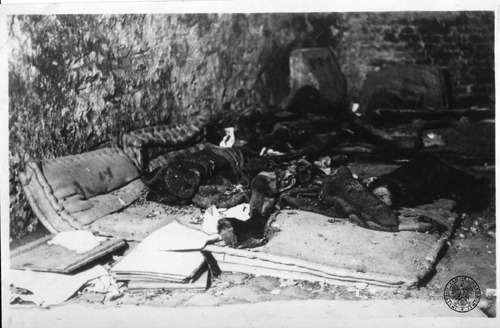 Remains of the patients of the hospital on Długa 7 Street, murdered on September 2, 1944, in the building of the former Ministry of Justice. Author: Leonard Sempoliński (Photo from the collections of the Institute of National Remembrance)