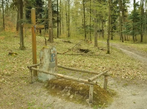 Wykus – mogiła kpr. Tadeusza Lange „Szylinga”. Fot. Marek Jedynak (IPN)