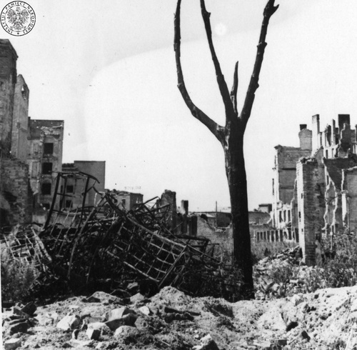 Ruiny zabudowy ulicy Czerniakowskiej. Warszawa, czerwiec 1945 r. Fot. z zasobu AIPN