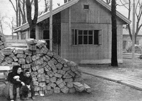 Budowa fińskich domków w Warszawie, marzec 1945 r. (fot. domena publiczna)