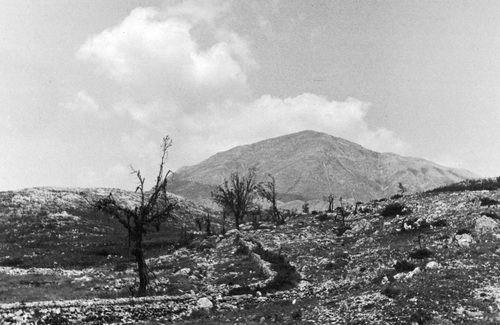 Widok na wzgórze San Angelo, fot. z zasobu Narodowego Archiwum Cyfrowego