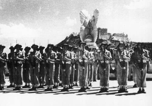 Kompania honorowa 5. Kresowej Dywizji Piechoty na Polskim Cmentarzu Wojennym na Monte Cassino, fot. z zasobu Narodowego Archiwum Cyfrowego