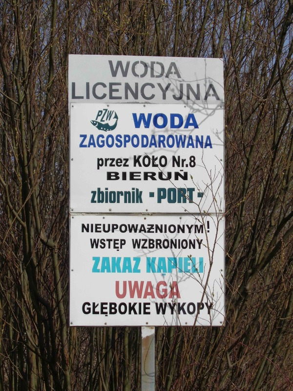 Zgon przed narodzeniem, czyli o Centralnym Porcie Węglowym