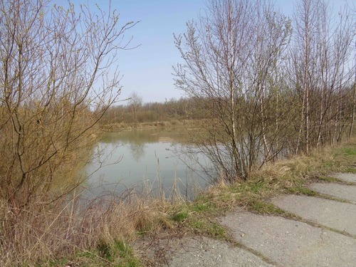 Zarastający powoli wykop pod basen portowy, obecnie teren wędkarski. Fot. autora