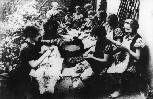 Dziewczynki z Domu Sierot żydowskich prowadzonego przez Janusza Korczaka w domu „Różyczka” na warszawskim Gocławku – lato 1940 r. (fot. z zasobu AIPN)