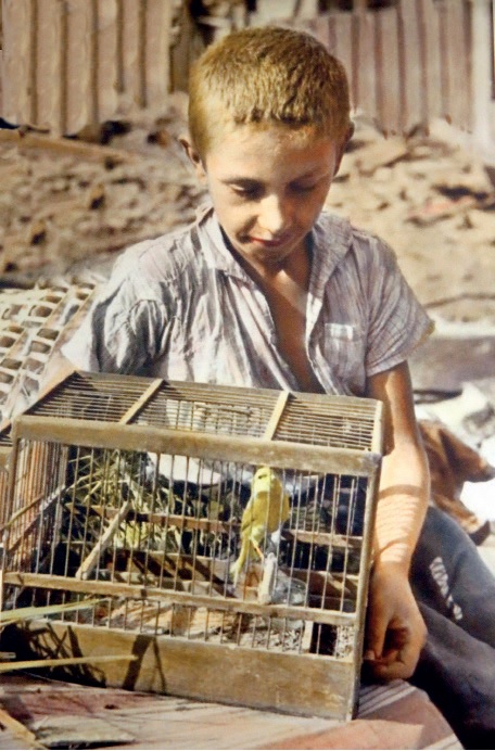 Dziesięcioletni Zygmunt Aksienow z kanarkiem w klatce, róg ulic Wójtowskiej i Przyrynek na Nowym Mieście, wrzesień 1939. (AIPN/Kolekcja Juliena Bryana w Warszawie. AIPN/Julien Bryan Collection in Warsaw)