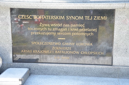 Tablica memoratywna, element pomnika pamięci żołnierzy AK i BCh poległych w bitwie pod Osuchami, 26 czerwca 2016 r. Fot. Marcin Krzysztofik (IPN)