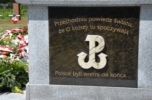 Tablica memoratywna, element pomnika pamięci żołnierzy AK i BCh poległych w bitwie pod Osuchami, 26 czerwca 2016 r. Fot. Marcin Krzysztofik (IPN)