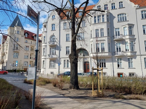 Skwer Ferdynanda Focha w Poznaniu. Fot. K. Białecki (IPN)