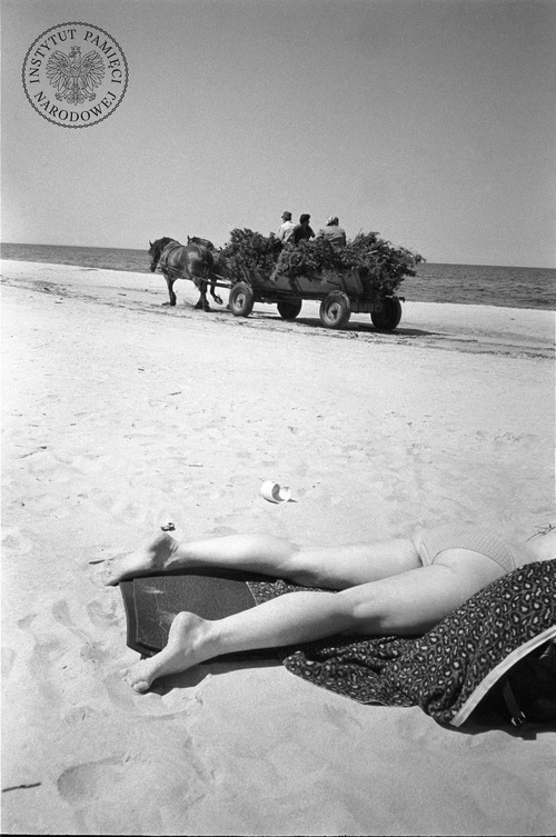 Plaża w Sztutowie nad Morzem Bałtyckim (fotografia z kolekcji Jana Hausbrandta)