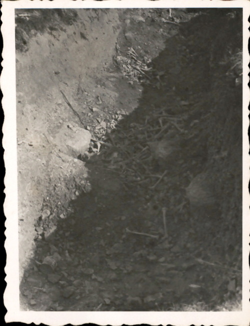 Wyzwolenie obozu na Majdanku. Fot. z zasobu AIPN, materiały przekazane przez Ewę Ginelli