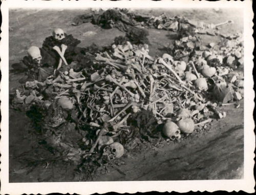 Wyzwolenie obozu na Majdanku. Fot. z zasobu AIPN, materiały przekazane przez Ewę Ginelli