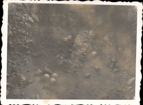 Wyzwolenie obozu na Majdanku. Fot. z zasobu AIPN, materiały przekazane przez Ewę Ginelli