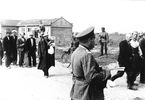 Koneck. Zdjęcie wykonane przez Erharda Kaulitza