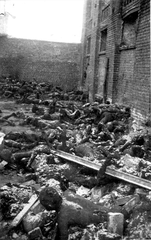 Zdjęcia spalonych więźniów wykonane tuż po masakrze 19 I 1945 r. (fot. z zasobu IPN)