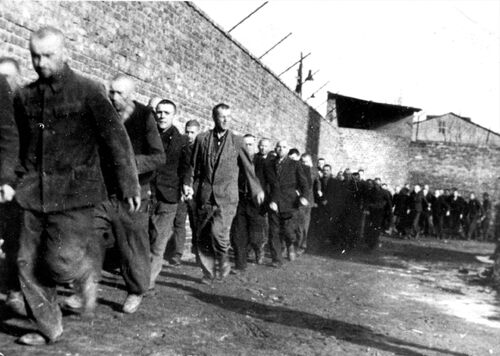 Więźniowie podczas apelu (fot. z zasobu IPN)