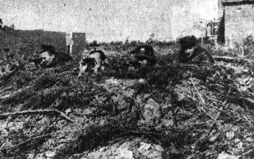 Żołnierze Pułku „Baszta” na pozycji, sierpień – wrzesień 1944 roku