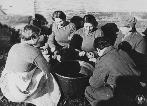 Ochotniczki PSK obierające ziemniaki (prawdopodobnie w obozie dla polskich żołnierzy i uchodźców cywilnych w Związku Sowieckim lub na Bliskim Wschodzie bądź w ośrodku pomocniczych formacji kobiecych Polskich Sił Zbrojnych na Zachodzie w Wielkiej Brytanii). Odbitka (reprodukcja) rozpowszechniana przez komórki propagandy Rządu RP na uchodźstwie (fot. z zasobu AIPN)